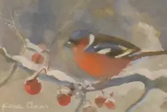 Chaffinch by Fiona Clucas, Gouache, sold Jun 2026