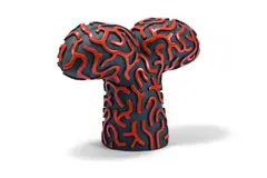 Symphysis bronze by Jon Buck, sculpture, sold May 2026