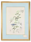 Fiordali lys (lilium musicum): franz liszt playing the piano by Salvador Dalí, Etching with drypoint and pochoir in colours on Japan nacré', sold Apr 2026