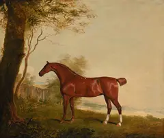 A bay hunter in a landscape by Benjamin Marshall, Oil on canvas, sold Apr 2026