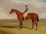 'bay middleton' with jockey up by John Frederick Herring Senior, Oil on canvas, sold Apr 2026