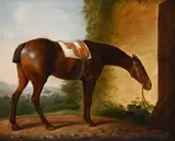 A saddled chesnut hunter tethered to a stable door by Jacques-Laurent Agasse, Oil on canvas, sold Apr 2026