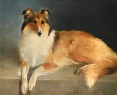 A collie lying on a stone wall by Lillian Cheviot, Oil on canvas, sold Apr 2026