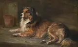 'laddie', a collie by Robert Alexander, Oil on canvas, sold Apr 2026