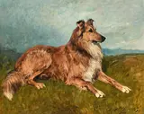 'bobs', a collie in a landscape by John Emms, Oil on canvas, sold Apr 2026