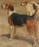 Charles, 8th earl of harrington's foxhounds, at elvaston castle by John Charlton, Oil on canvas, sold Apr 2026