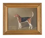 Portrait of a foxhound by John Charles Tunnard, Oil on canvas, sold Apr 2026