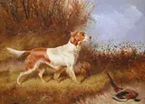 A gun dog by Colin D. Graham, Oil on canvas, sold Apr 2026