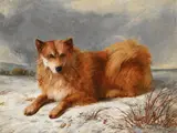 Husky in a snowy landscape by Arthur James Stark, Oil on canvas, sold Apr 2026