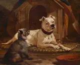 Dogs in an interior by William Osborne, Oil on canvas, sold Apr 2026