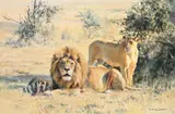 Lion and lioness by Donald Grant, Oil on canvas, sold Apr 2026