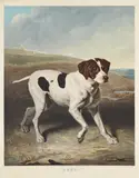 After j. s. cooper, shot by Charles Turner, print (other), sold Apr 2026