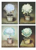Ornamental cabbages by Jose Escofet, Gouache on paper Each signed, sold Mar 2026
