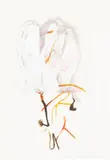 Armature for Southern Landscape #3 by Betsy Cain, 1996, Ink on Paper, sold Oct 2023