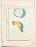 Banana Still Life by Matt Overend, 1984, Oil on Canvas, sold Jun 2023