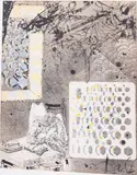 Don Quixote Reading in his Room by Salvador Dali, Lithograph, sold Jun 2023