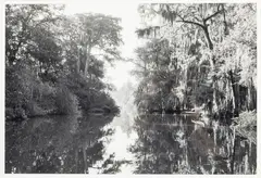 Morning Light Coleman Lake by Jack Leigh, 1984, silver gelatin photograph, sold Jun 2023