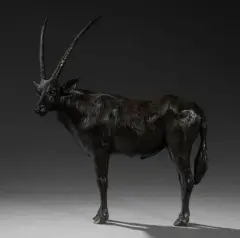 Oryx tête tournée by Damien Colcombet, Épreuve en bronze à patine brune, sold Sep 2026