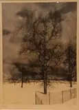 Les arbres by Michel Ciry, Gravure Signée et datée, sold Sep 2026