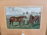 Les poulinières by V.j. Cotlison, Lithographie rehaussée porte signature en bas à droite et encadrée, sold Sep 2026
