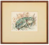 Angry Toad.' Signed and dated bottom left by Nicholas Peter Stavroulakis, 1974, Watercolor, offered Jan 2024