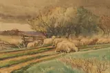 Sheep Near Coast by John Austin Sands Monks, Watercolor, offered Jan 2024