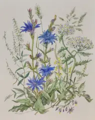 Untitled by Patience Arnold, Watercolour, sold Jun 2026
