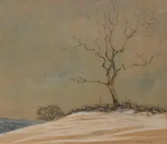 Untitled by D.E Willink, Watercolour, a lone hillside tree in winter, signed and dated, sold May 2026