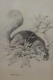 Untitled by Phyllis M. Bone, pencil, sold Mar 2026