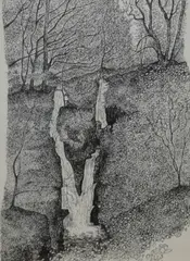 Stock Ghyll Force, Ambleside by Neale Holden, Ink, sold Jan 2026