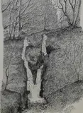 Stock Ghyll Force, Ambleside by Neale Holden, Ink, sold Jan 2026