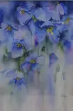 Misty Meconopsis' a study of blue flowers by Rachel McNaughton, watercolour, sold Jan 2026