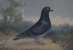 Untitled by Andrew Beer, oil on canvas, sold Dec 2025