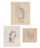 Head of a circus pony; bridle and blinkers; horse from behind by Lucy Kemp-Welch, Pencil, sold Mar 2026