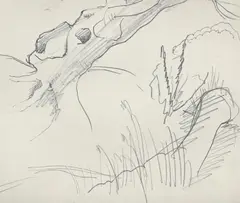 Studies of natural forms by Dora Carrington, Pencil, sold Mar 2026