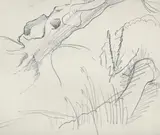 Studies of natural forms by Dora Carrington, Pencil, sold Mar 2026
