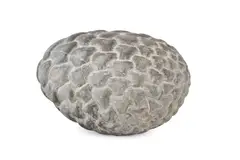 Iv form by Peter Randall-Page, Stone, sold Mar 2026