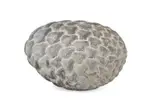 Iv form by Peter Randall-Page, Stone, sold Mar 2026