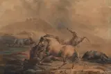Horses fighting by Sawrey Gilpin, Watercolour heightened with white, sold Feb 2026