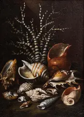 Still life of shells and coral by Paolo Porpora, Oil on canvas, sold Jan 2026
