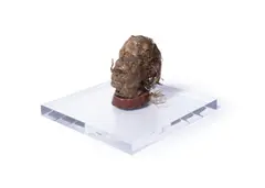 Head of dali by Stephen Goddard, mixed media, sold Jan 2026