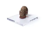 Head of dali by Stephen Goddard, mixed media, sold Jan 2026