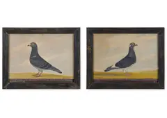 Homing pigeons: lamplighter; nellie by Edward Henry Windred, Oil on canvas, sold Jan 2026