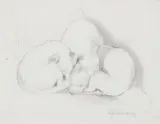 Study of bull terrier pups by George Price Boyce, Pencil on paper, sold Jan 2026