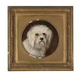 A maltese terrier by J H Wills, Oil on board, sold Nov 2025