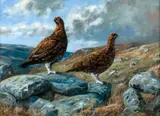 Pair of grouse by John Trickett, oil on canvas, sold Jun 2014