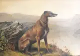 Hound in a Scottish landscape by British School, 19th century, oil on canvas, sold Jun 2014