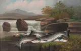 Salmon on a river bank by John Bucknell Russell, oil on canvas, offered Jun 2014