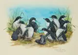 Pingouins by Paul Margocsy, Aquarelle signée, sold May 2026