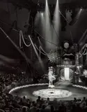 Contortionist, Big Apple Circus by Matthew Pillsbury, ink jet print, sold Apr 2026